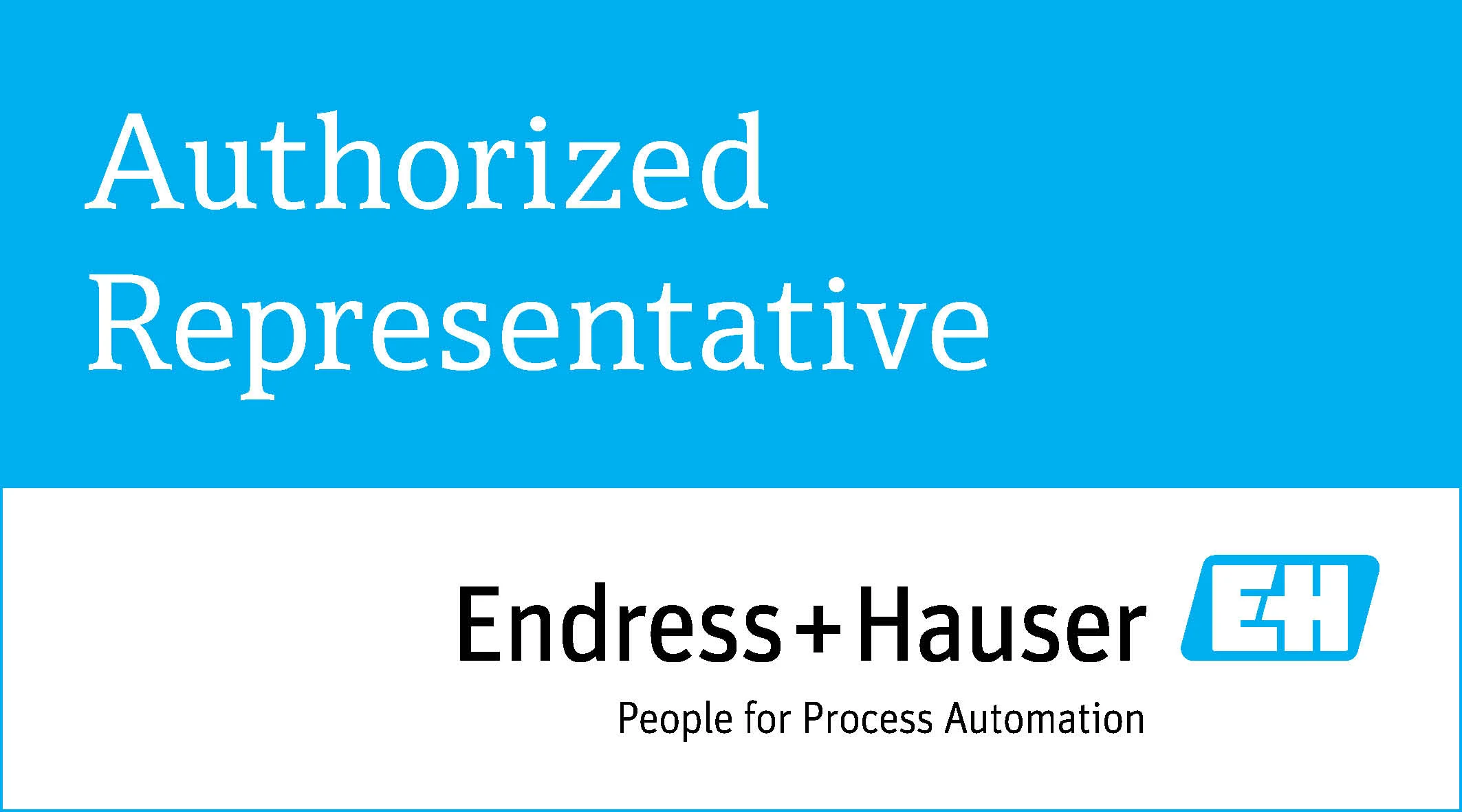 Endress+Hauser Authorized